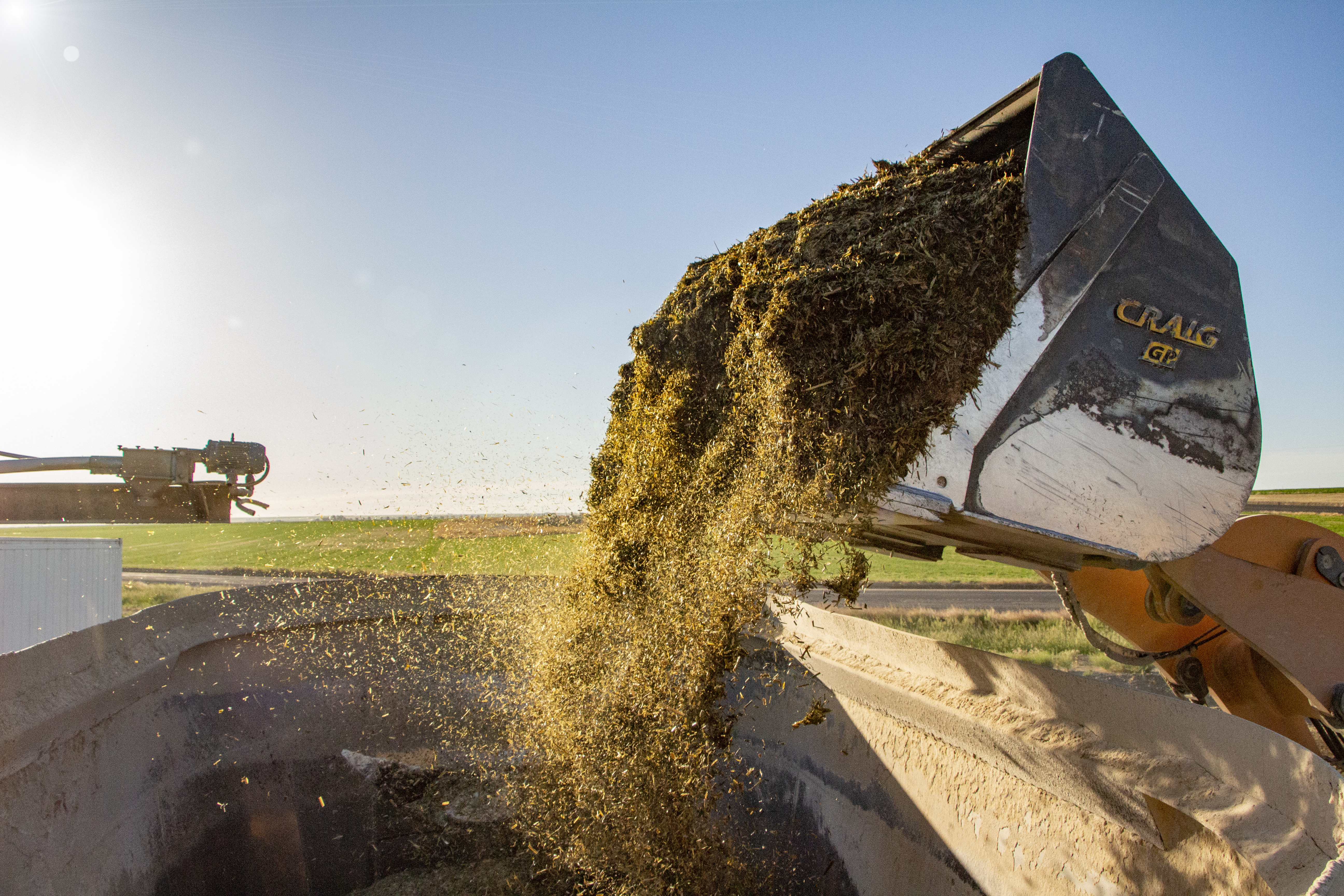 loader bucket sunflare